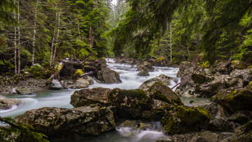 Картинка природа реки озера простор