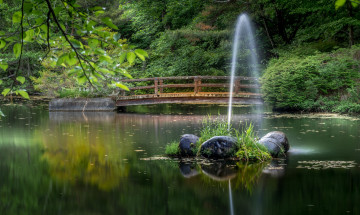 Картинка природа реки озера простор