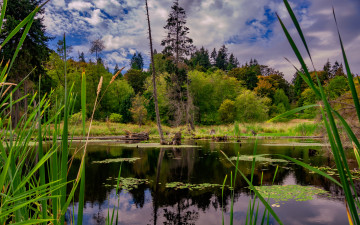 Картинка природа реки озера простор