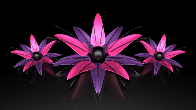 Обои картинки фото 3д графика, цветы , flowers, цвет, фон, узор