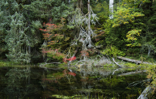 Обои картинки фото природа, реки, озера, простор