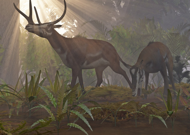 Обои картинки фото 3д графика, животные , animals, животные