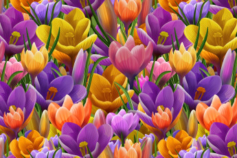 Картинка рисованное цветы крокусы