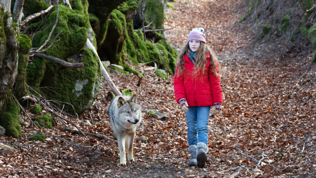 Обои картинки фото mystere || 2022, кино фильмы, mystere, комедия, мой, волк, семейный, shanna, keil, виктория, кадры, из, фильма