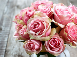 обоя цветы, розы