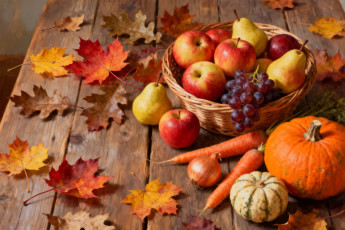 обоя рисованное, еда, осень