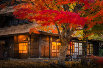 обоя города, - здания,  дома, дом, свет, япония, деревья, осень, листья, двор, кусты