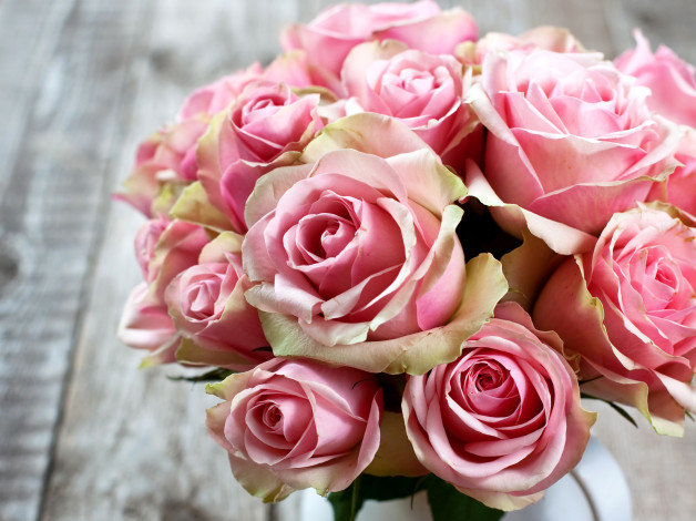 Обои картинки фото цветы, розы