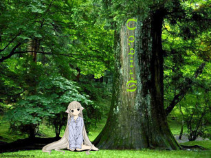 Картинка аниме chobits