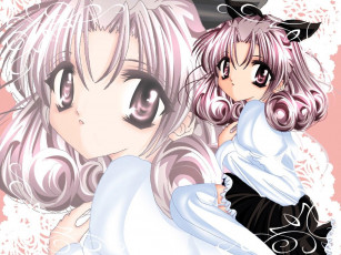 Картинка аниме sister princess