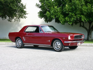 Картинка автомобили ford