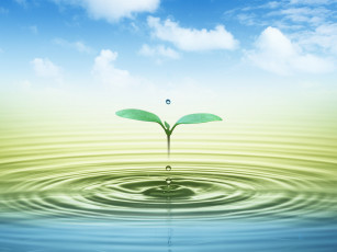 Картинка компьютеры desktop decor