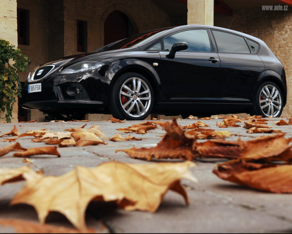 Обои картинки фото автомобили, seat