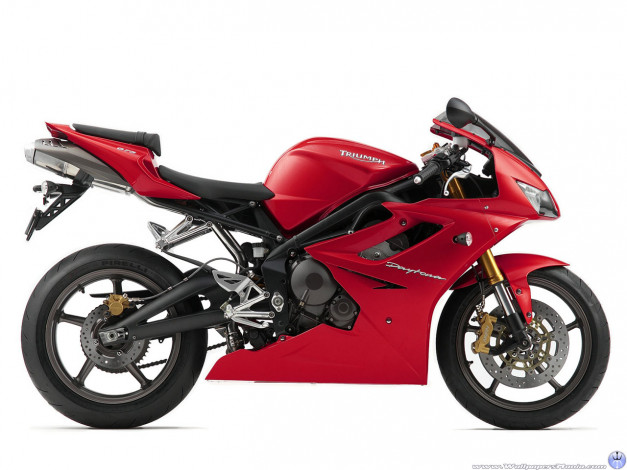 Обои картинки фото мотоциклы, triumph