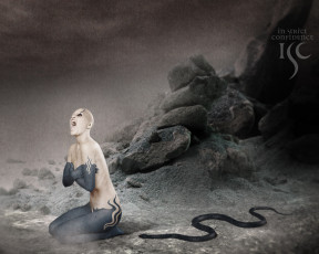 Картинка бренды isc