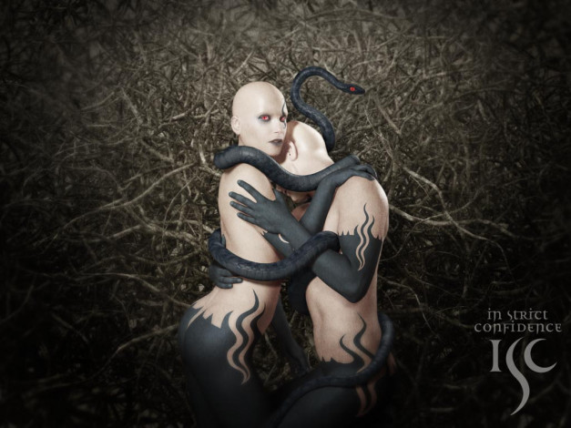 Обои картинки фото бренды, isc