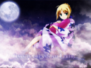 Картинка аниме fate stay night