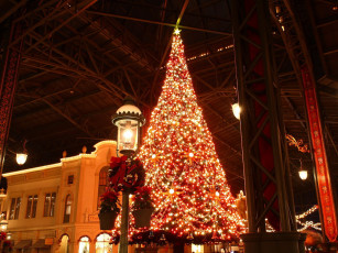 Картинка праздничные Ёлки