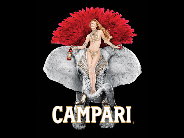 Обои картинки фото бренды, campari