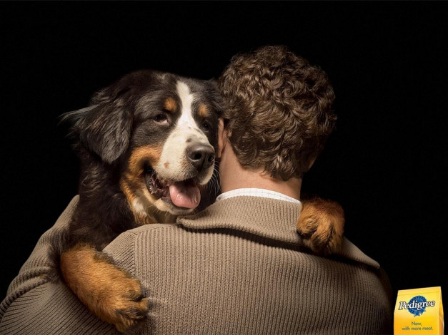 Обои картинки фото бренды, pedigree