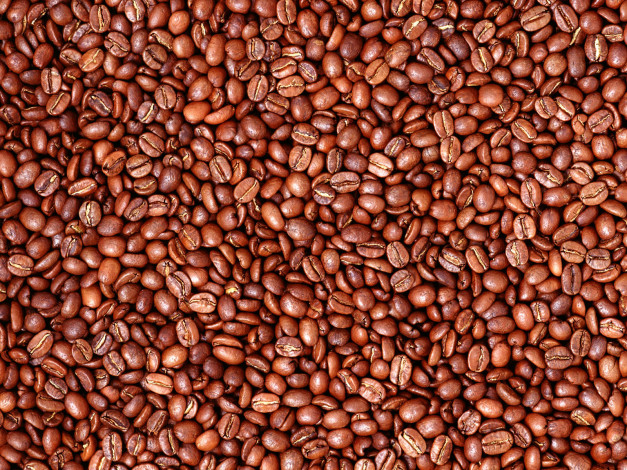 Обои картинки фото еда, крупы, зерно, специи, семечки