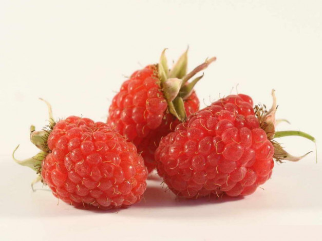 Обои картинки фото еда, малина