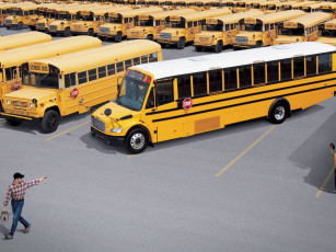 Картинка автомобили автобусы