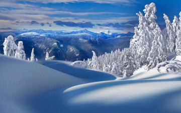 Картинка природа зима