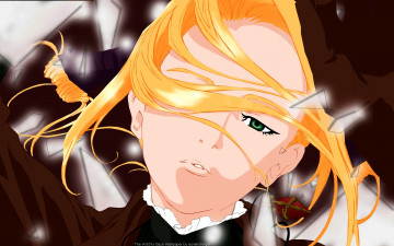 обоя witch, hunter, robin, аниме