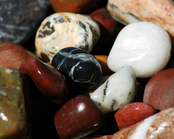 Обои картинки фото 