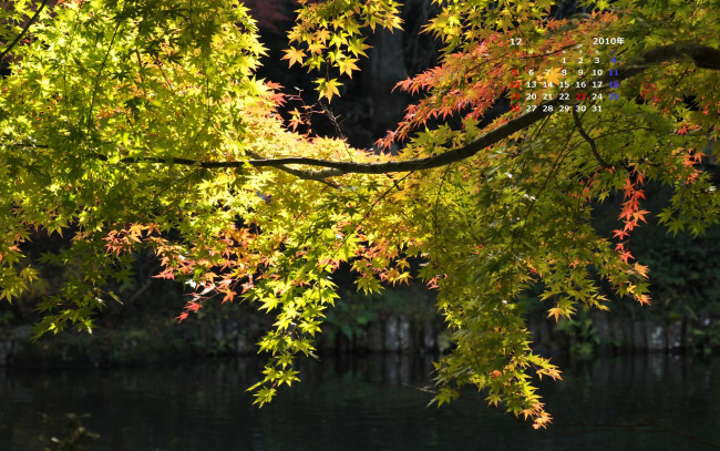 Обои картинки фото календари, природа
