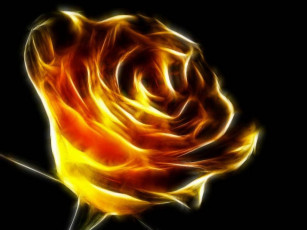 Картинка 3д графика flowers цветы роза