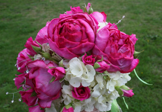 Картинка цветы букеты +композиции розы гортензия