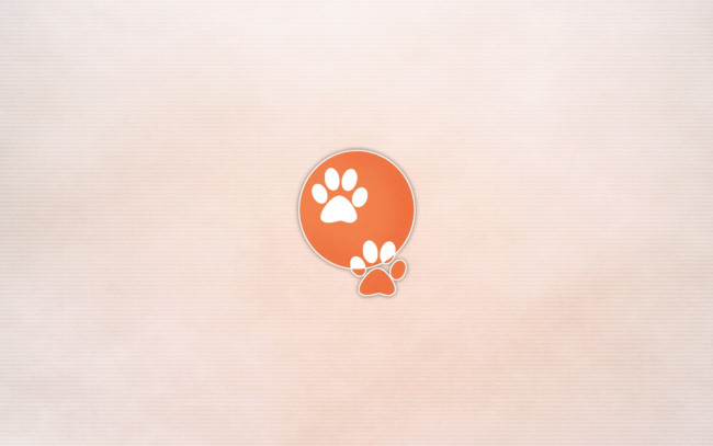 Обои картинки фото рисованные, минимализм, следы