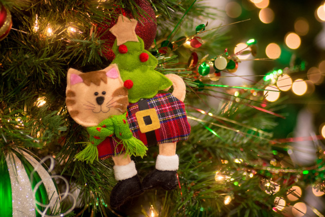 Обои картинки фото праздничные, украшения, кот