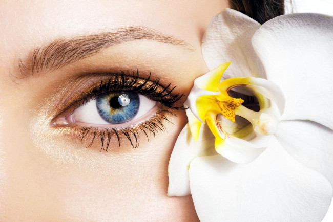 Обои картинки фото разное, глаза, орхидея