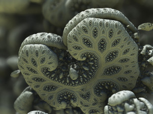 Картинка 3д+графика абстракция+ abstract цвета фон узор