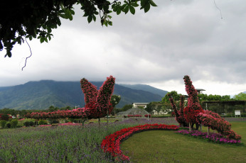 Картинка разное садовые+и+парковые+скульптуры цветочная композиция