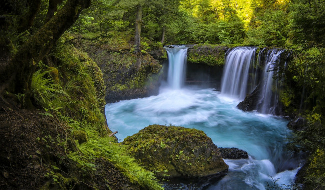 Обои картинки фото природа, водопады, вода, водопад, деревья, лес, поток