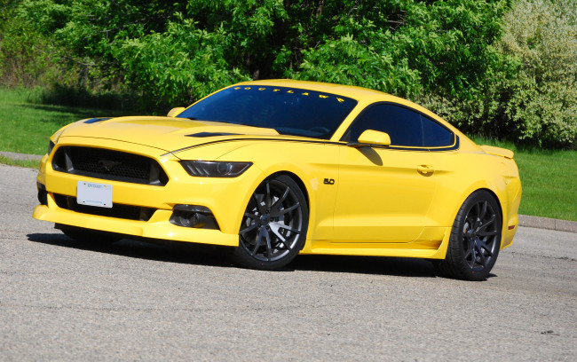 Обои картинки фото автомобили, mustang