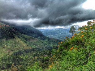 Картинка природа горы скалы