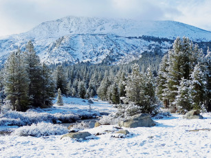 Картинка природа зима снег