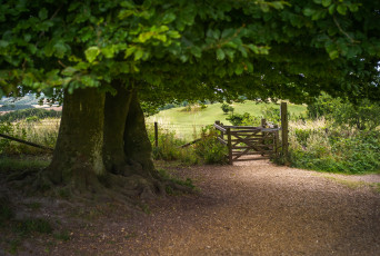 Картинка природа дороги тракт