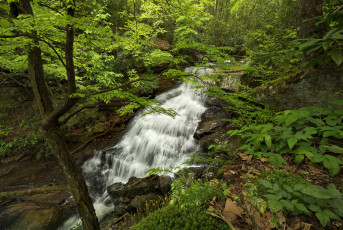 Картинка природа водопады река лес водопад