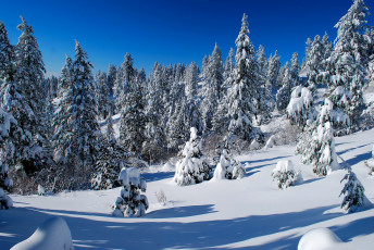 Картинка природа зима снег