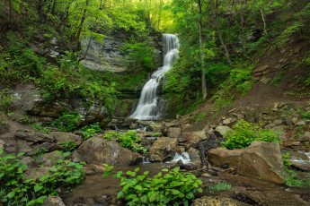 Картинка природа водопады лес река водопад