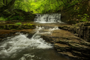 Картинка природа водопады лес река водопад