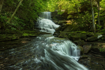 Картинка природа водопады лес водопад река