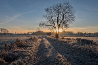 Картинка природа восходы закаты рассвет