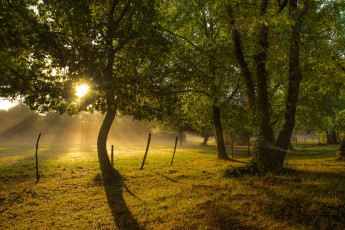 Картинка природа восходы закаты рассвет